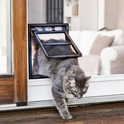 Cat door